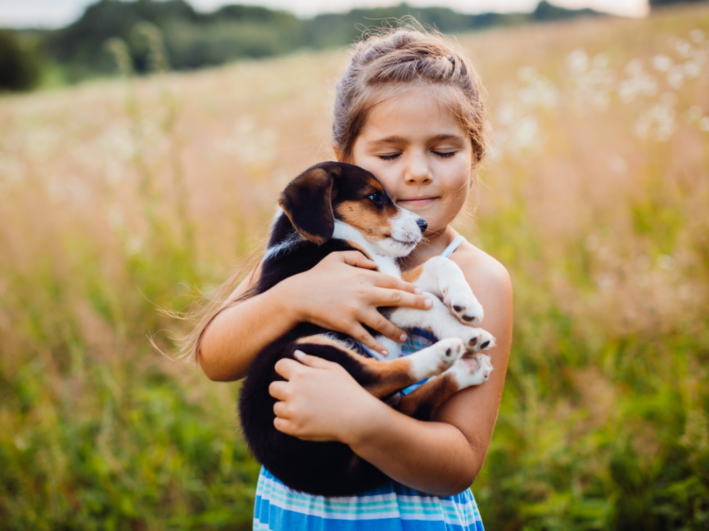 3 + 1 Grund für eine Hundehütte mit öffenbarem Dach