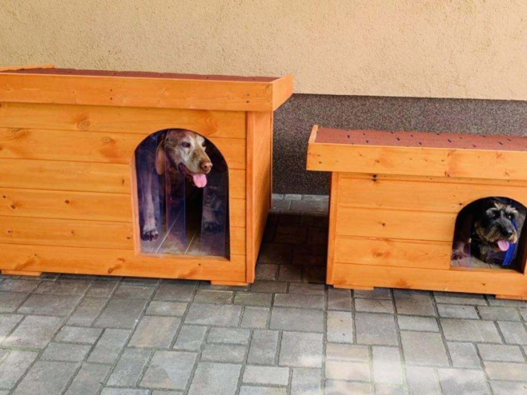 5 ok, amiért kell hőfüggöny a kutyaházra