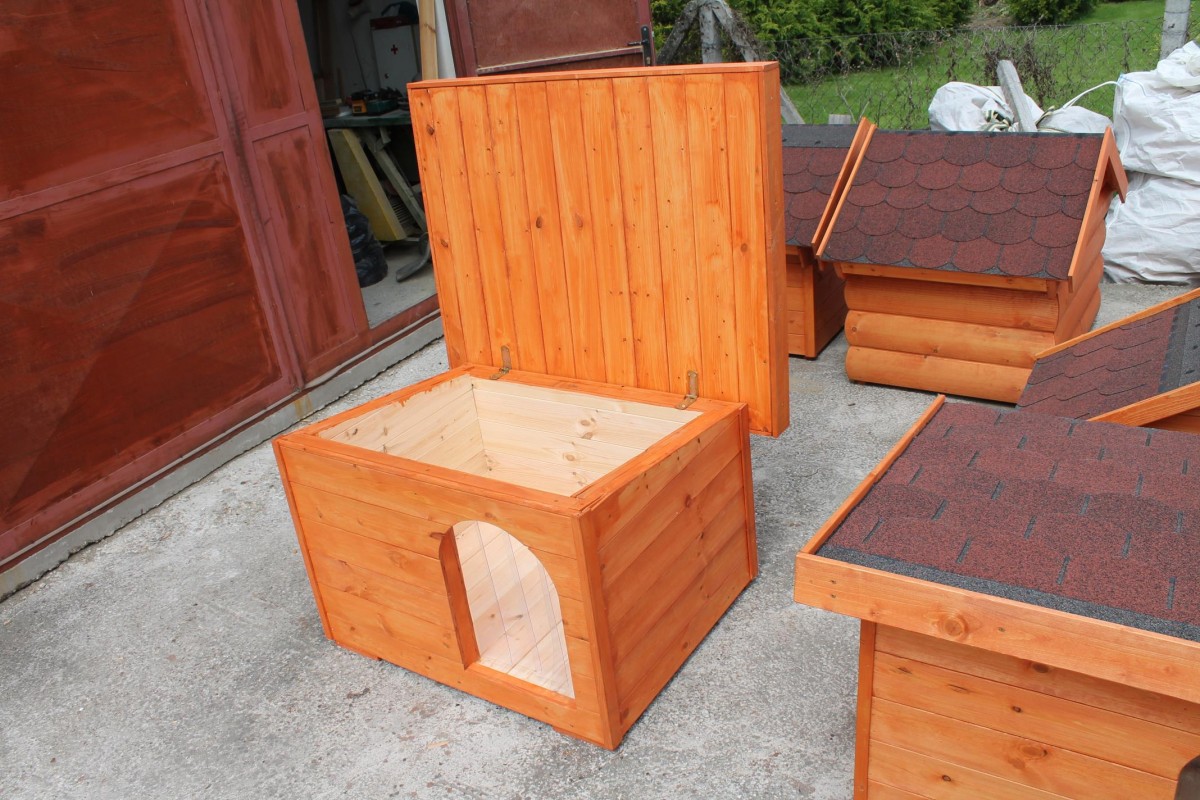 Dexter isolierte Hundehütte