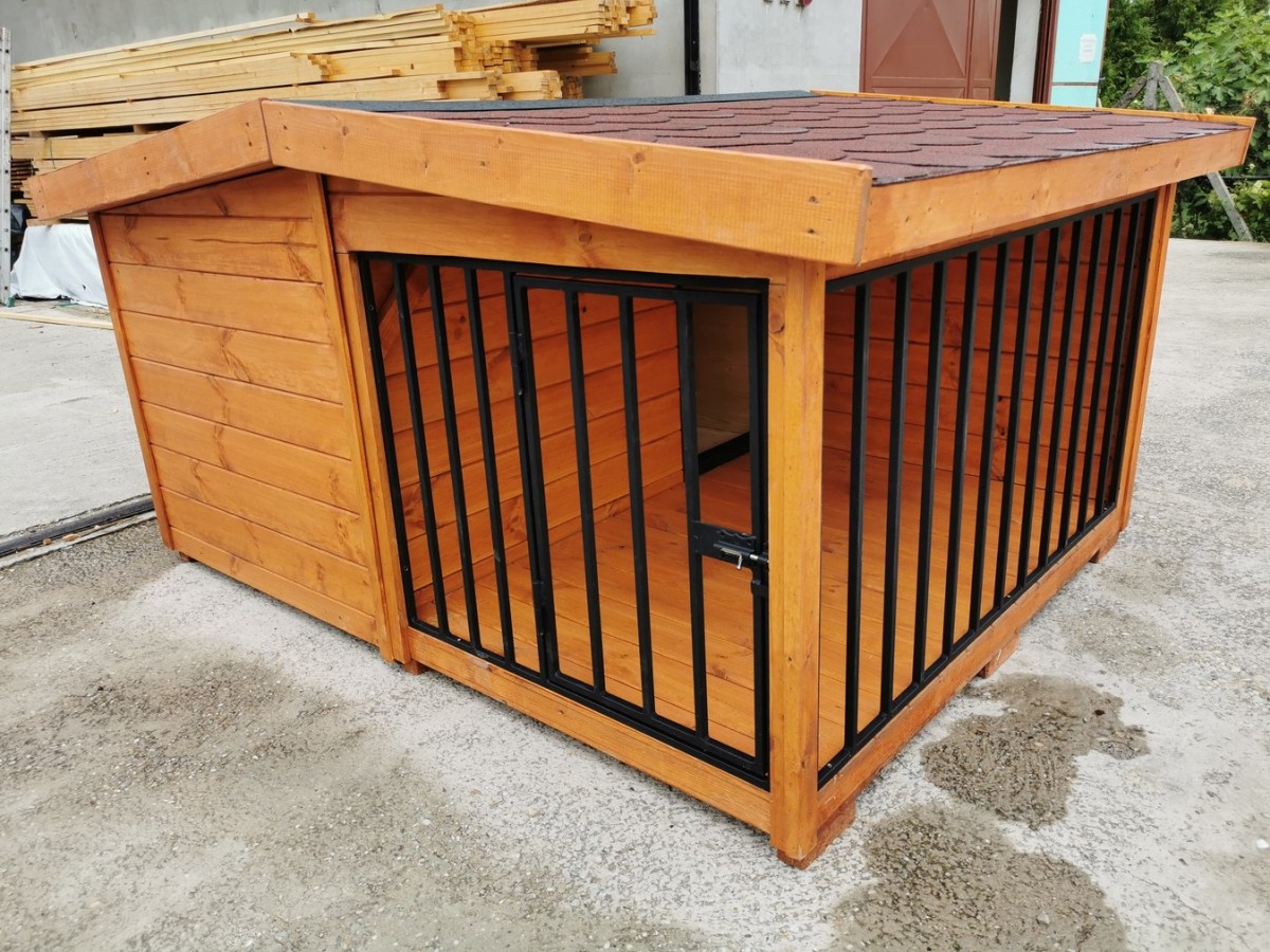 Rex isolierte Hundehütte