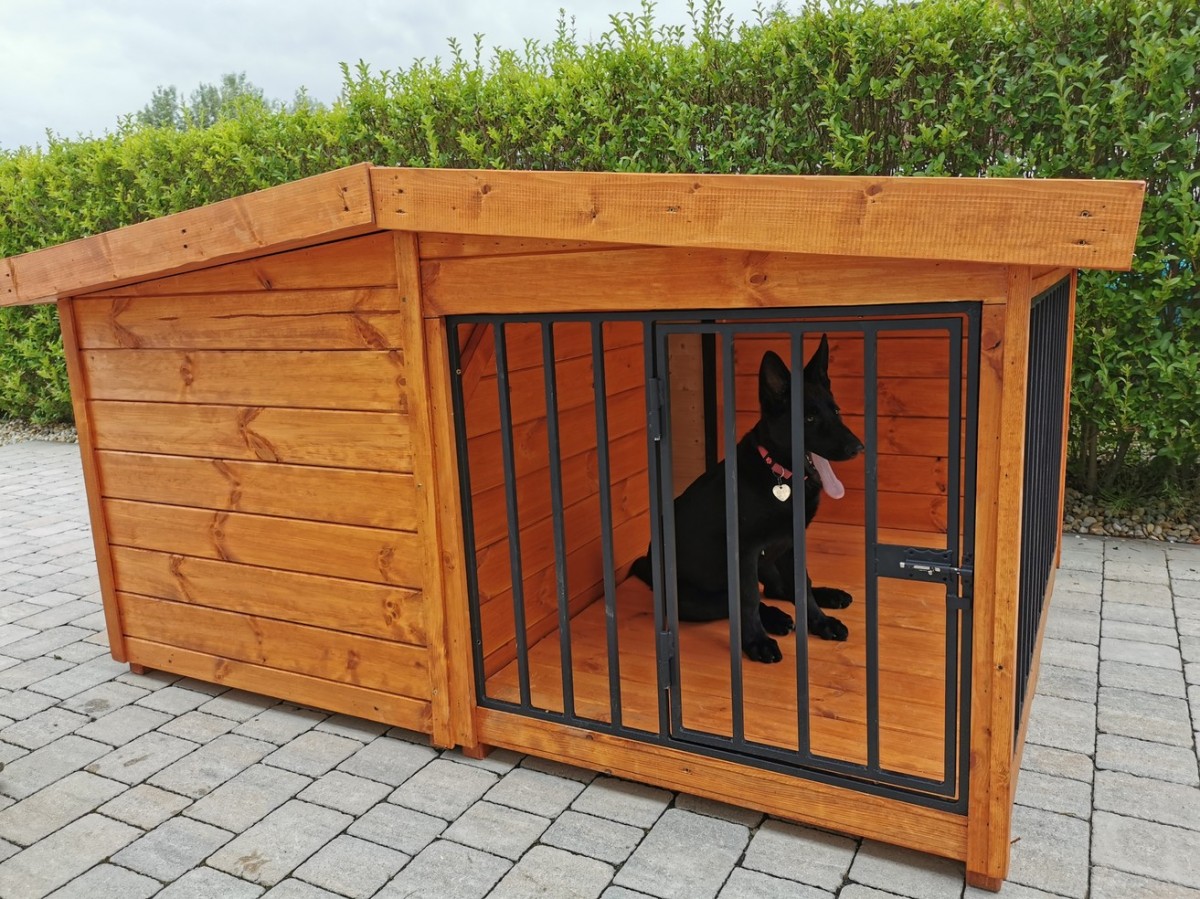 Rex isolierte Hundehütte