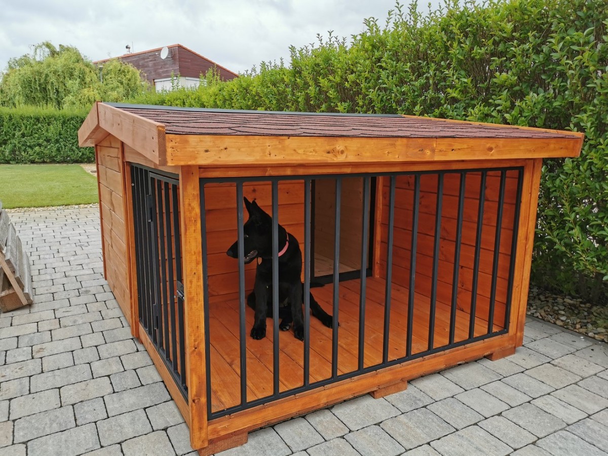 Rex isolierte Hundehütte