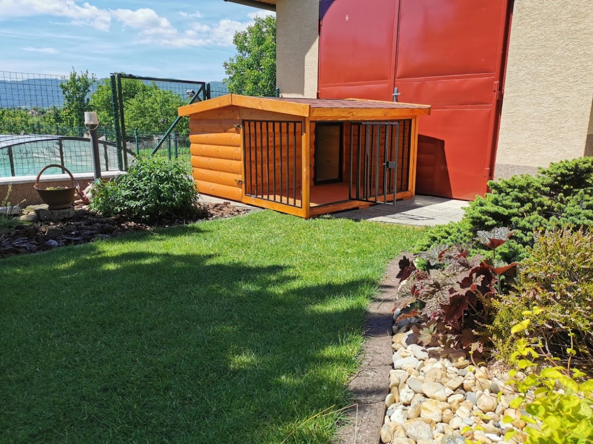 Z-Rex isolierte Hundehütte