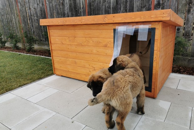 Dexter szigetelt kutyaház