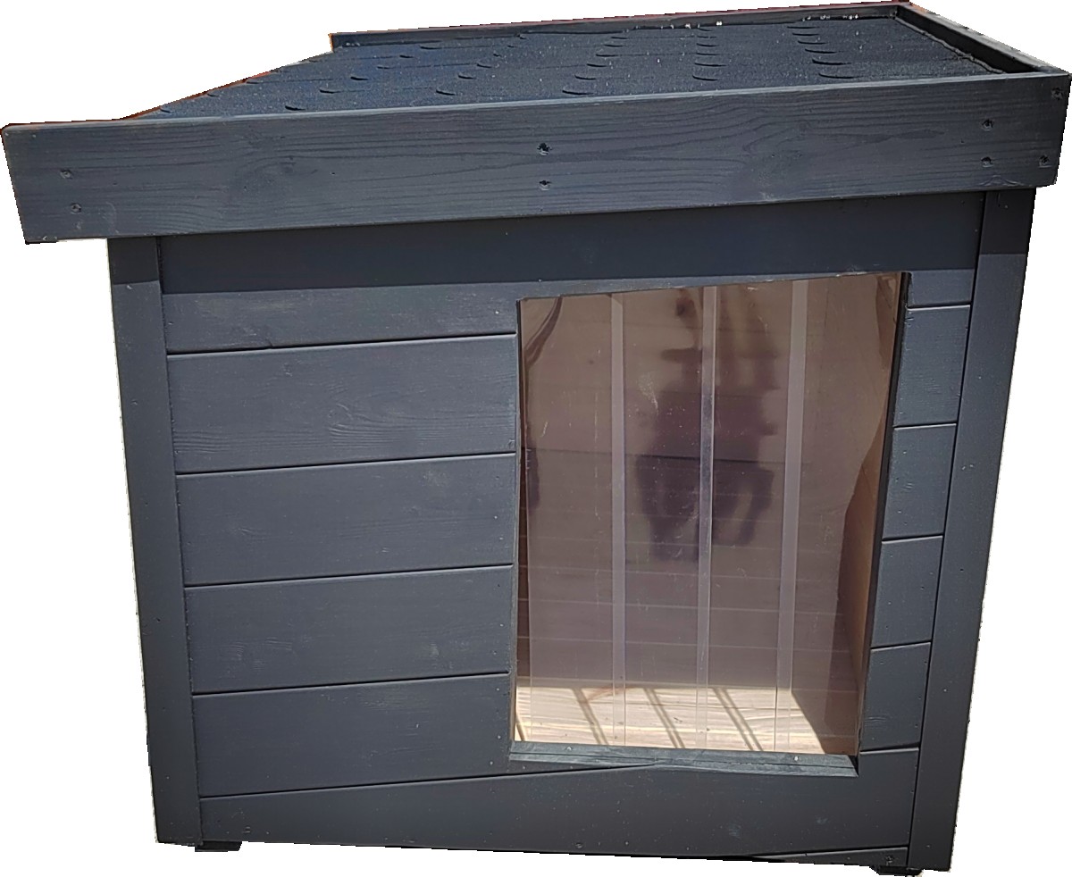 Fox Isolierte Hundehütte