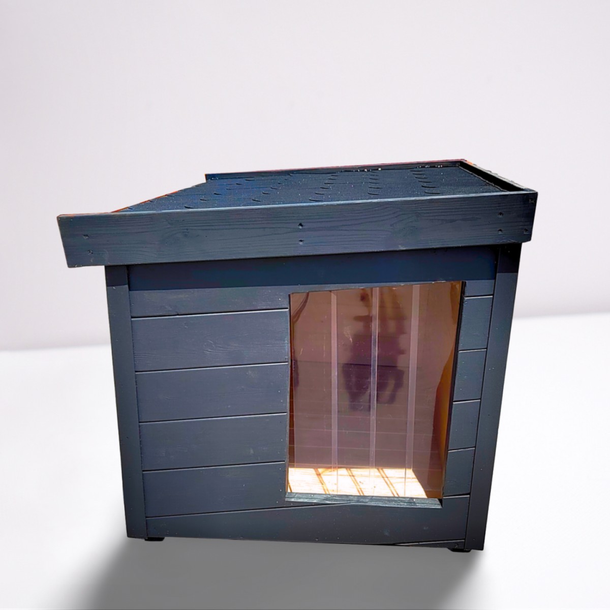 Fox Isolierte Hundehütte