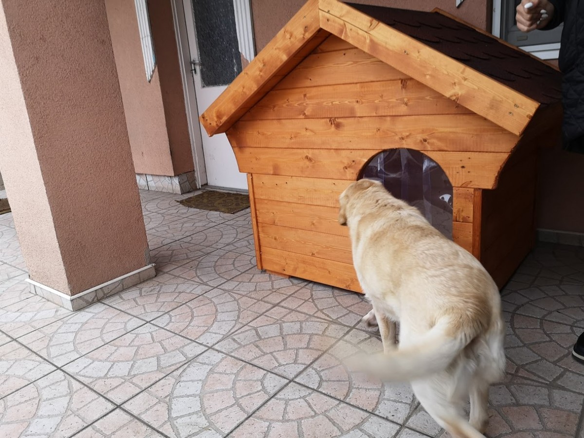 Atlas isolierte Hundehütte